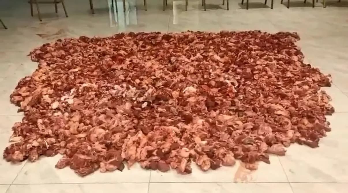 Qurbani Meat Distribution Initiative